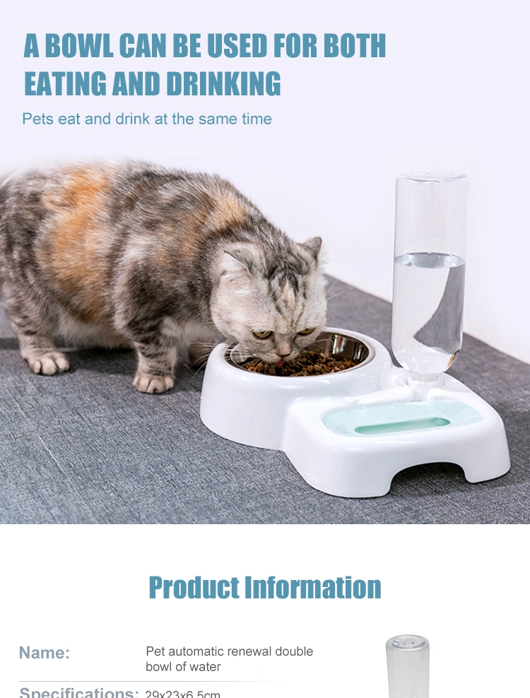 Food Grade Plastic Cat Bowl with Automatic Water Feeding Bottle