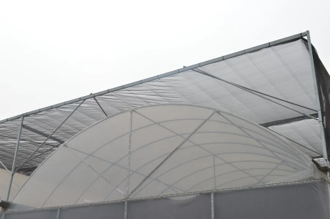 Low Cost Polycarbonate Sheet Commercial Greenhouse for Sale Supply by Chinese Factory