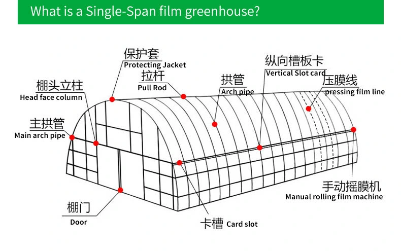 Factory Price Single Span Film Greenhouse Tunnel Mini Tomato Strawberry Hydroponics Green House for Sale