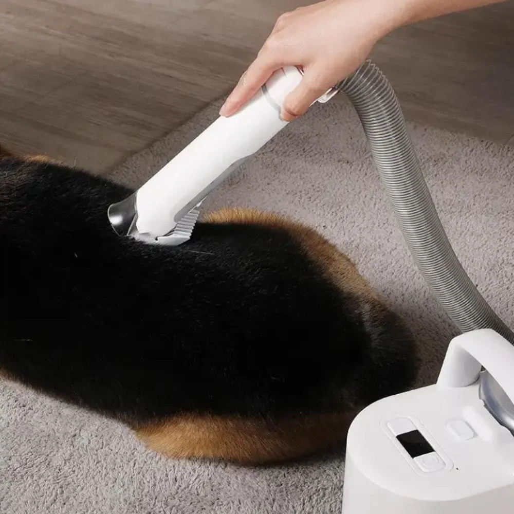 6-in-1 Dog Grooming Vacuum for Shedding Dyson Pet Grooming Kit
