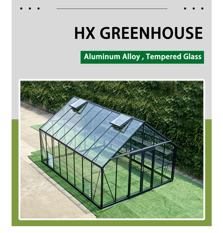 Innovative Garden Glass Green House Widely Used for Backyard