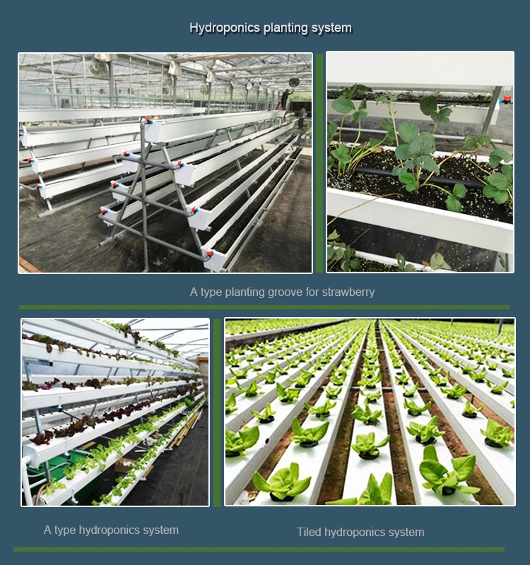 Polycarbonate Sheet Commercial Garden Eco Greenhouse with Hydroponics/ Cocopeat Planting System/ LED Grow Light System Aluminum Alloy for Agriculture/ Poultry