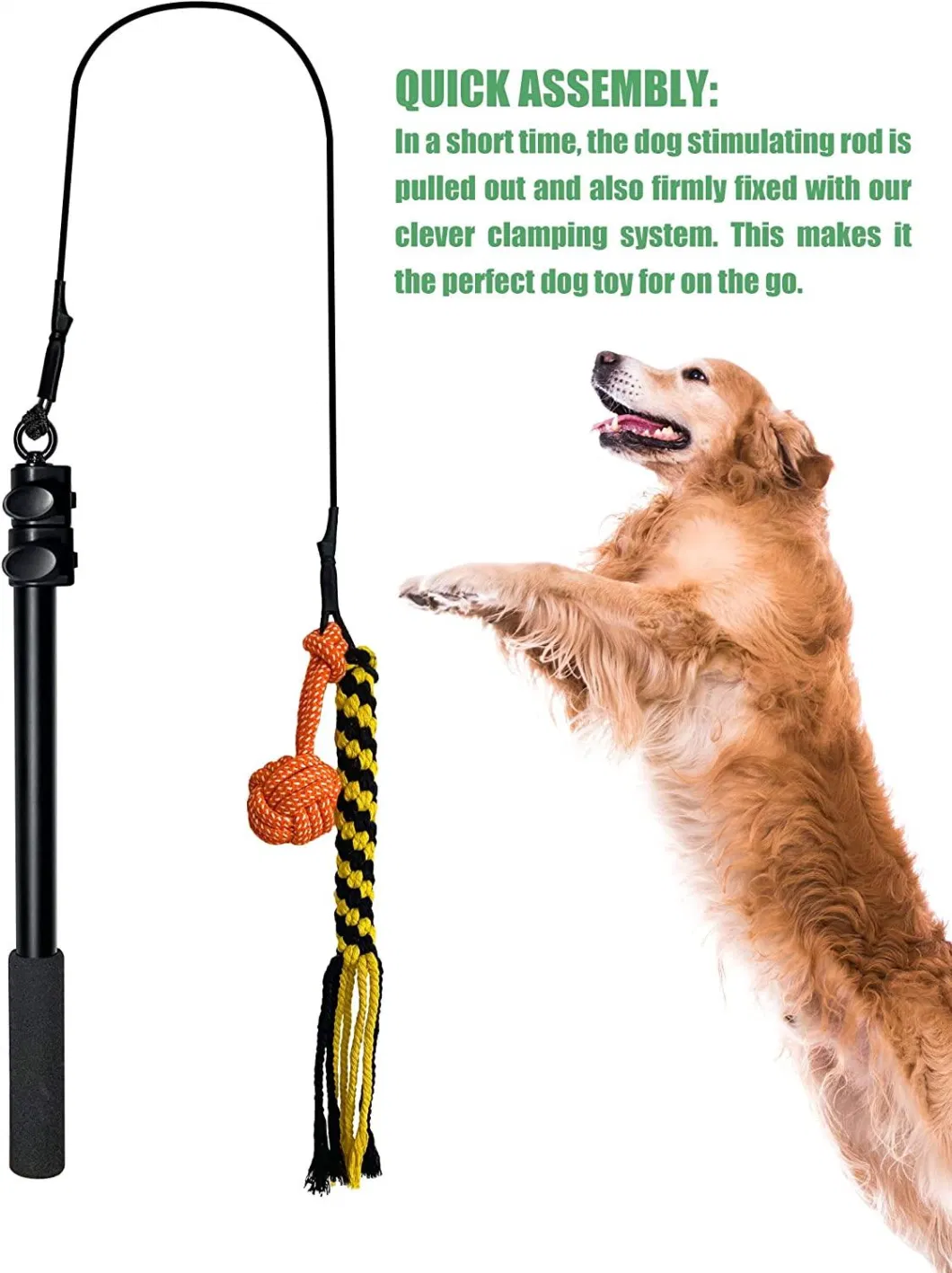 Wholesale Pets Chew Toys Funny Cat Dog Training Telescopic Pole