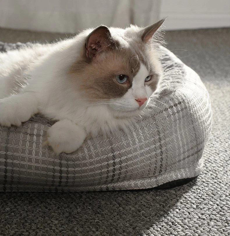 All Seasons Soft Removable Thicken Pet Cushion Cat Mat
