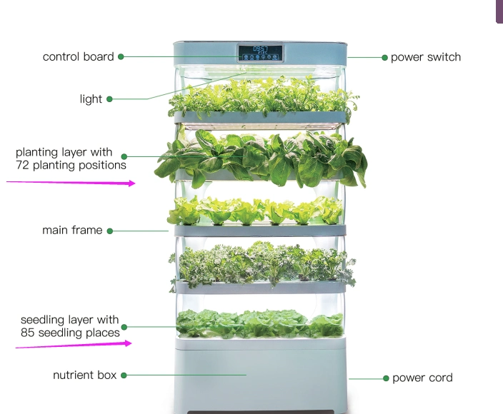 Agricultural Farm Hydroponic Growing System Intelligent Home Tomato Hydroponics System