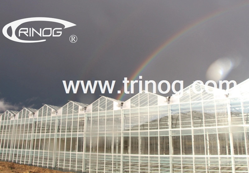 Trinog Greenhouse venlo glass portable greenhouse Green house with hydroponics system