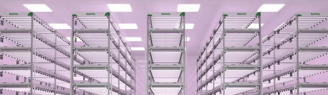 Vertical Hydroponic Grow Rack System