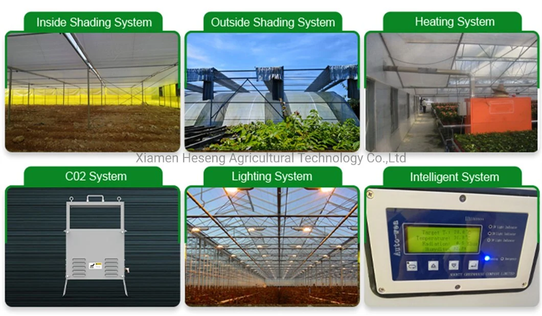 Venlo Hollow Double Tempered Glass Greenhouse with Hydroponics Growing System for Vegetables/Flowers/Tomato/Farm/Garden/Eco Restaurant/Agriculture/Crops