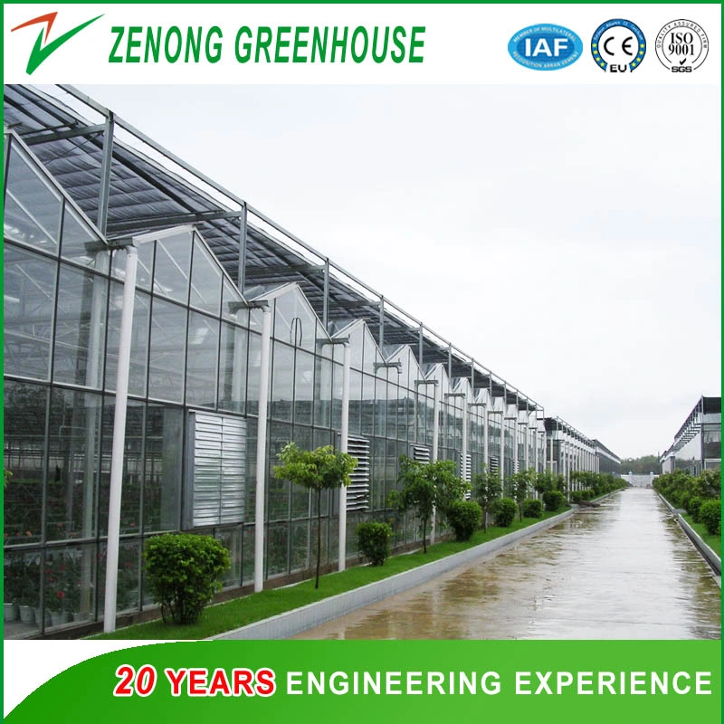 Venlo Tempered Glass Greenhouse with Hydroponics Growing System for Vegetables/ Flowers/ Tomato/