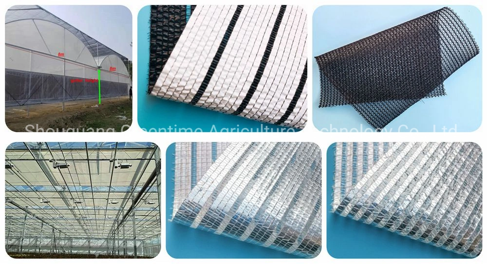 Agricultural/Commercial Single Span/Cheap Tunnel/Gothic Plastic Film Hydroponic Greenhouse for Tomatoes Lettuce Cucumber