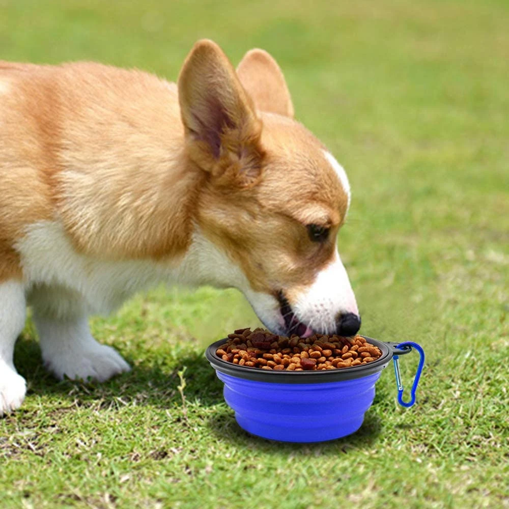 Portable Foldable Dog Bowl Food