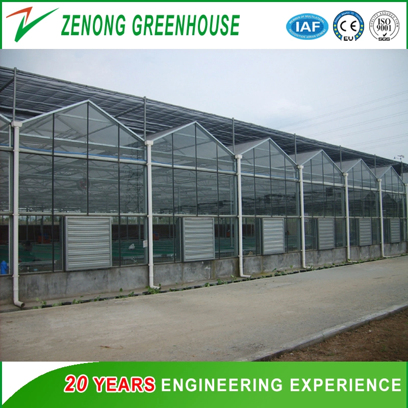 Intelligent Glass Green House for Vegetables Fruits Flowers