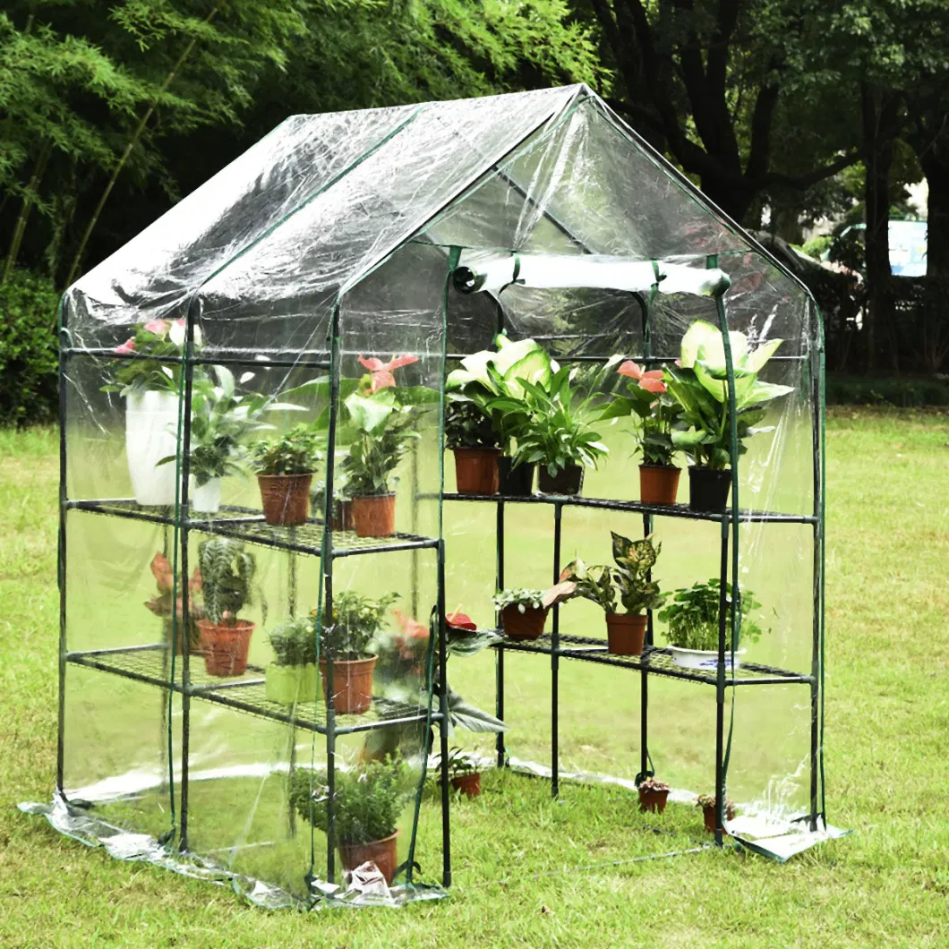 Agriculture Walk-in Plastic PVC Greenhouse for Sale