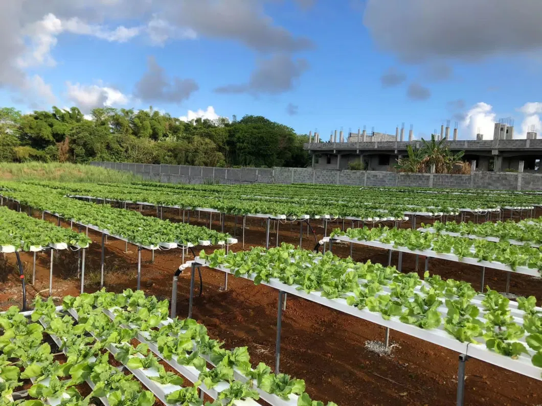 Greenhouse Smart Cultivation Nft Hydroponic Tray Indoor Vertical Aquaponics Hydroponic System Superfarm