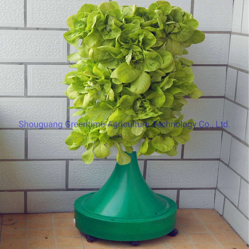 Hydroponic Horticulture Garden Indoor Plant Growth for Clients