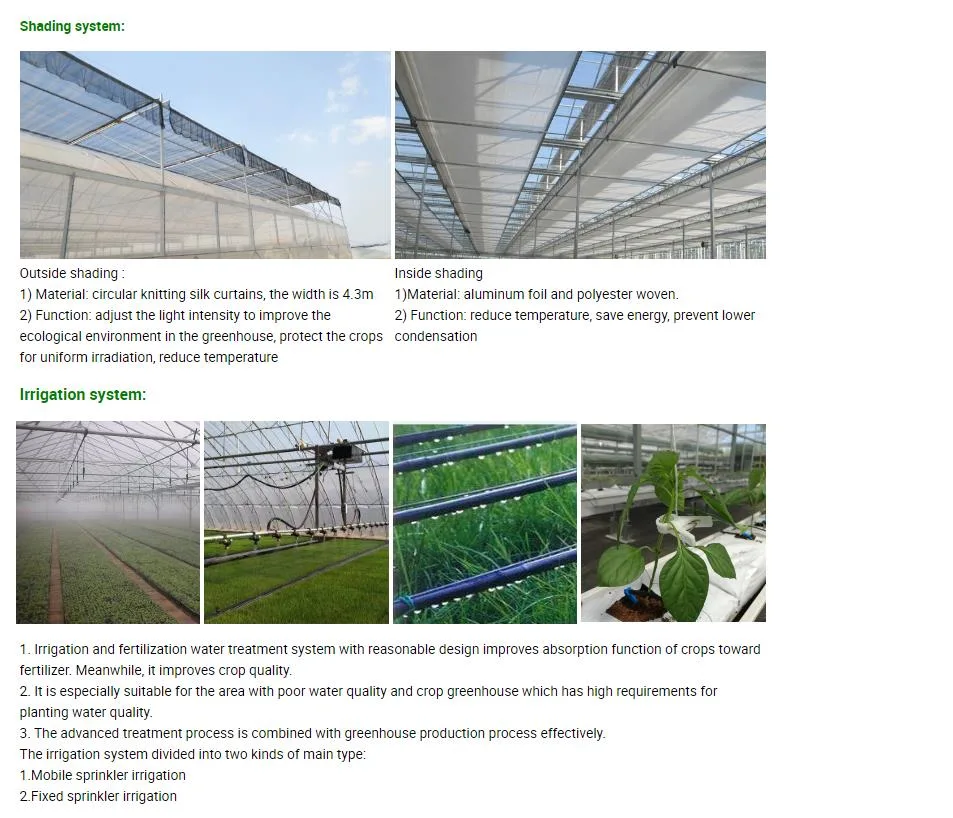 Factory Outlet Single-Span Film Garden Greenhouse in Yard