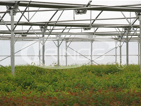 Modern multi-span high tunnel plastic film/ glass/ polycarbonate hydroponic greenhouse for agriculture