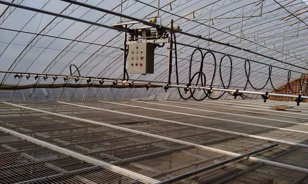 Greenhouse Supplies with Cocopeat Planting System for Poultry and Agriculture
