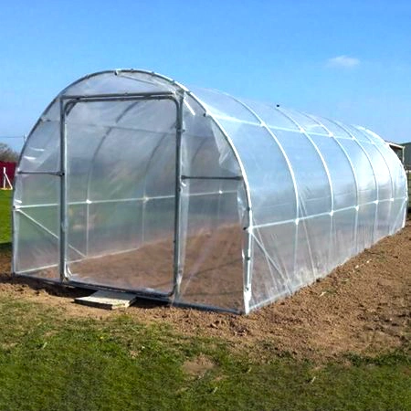 Single Span Plastic PE Film Garden Greenhouse for Agriculture