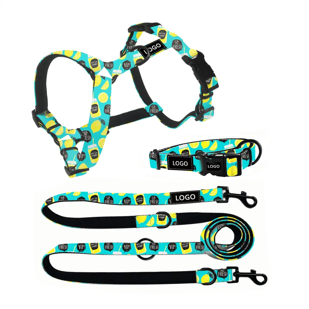 Wholesale Personalized Dog Collar and Leash High Quality Sublimation Dog Harness