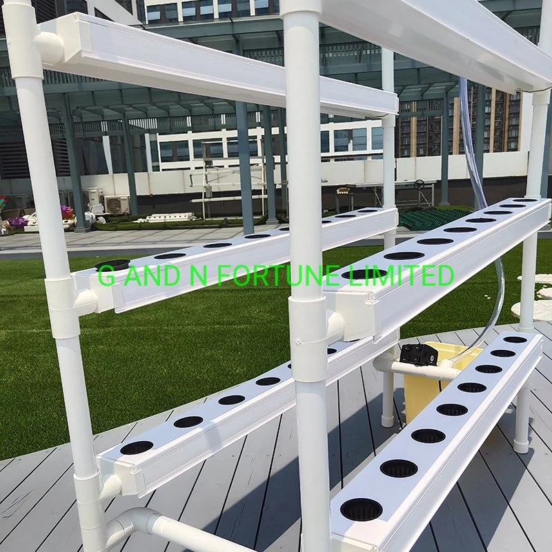 Indoor Vertical Hydroponic Nft Channel System for Leafy Vegetables