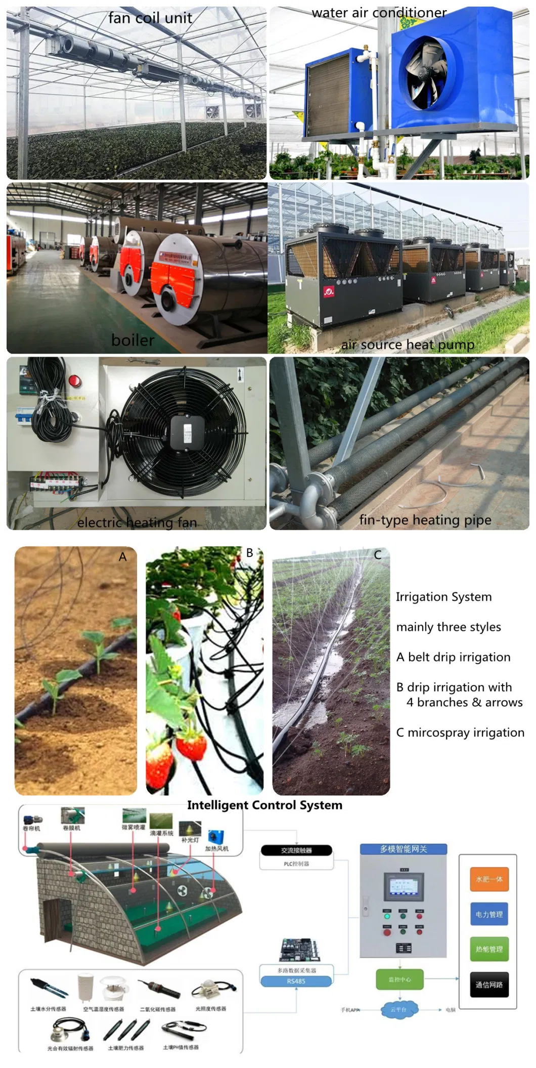 Greenhouse Direct Supply by The Factory with Active Solar Energy Absorbing and Releasing for Winter Vegetable/Flower/Strawberry/Tomato/Cucumber Culture