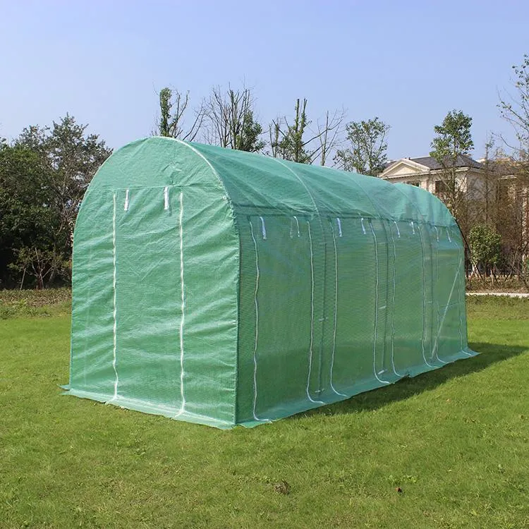 Pop-up Outdoor Walk-in Greenhouse Plastic Garden Mini Greenhouse