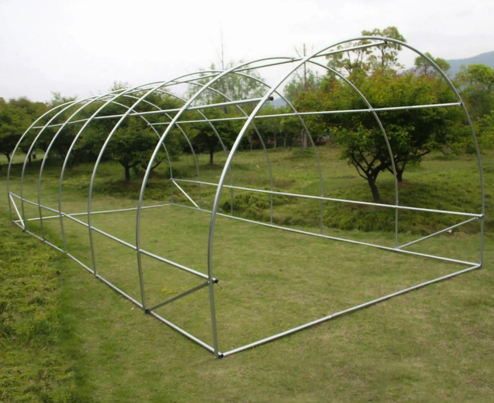 Single Span Plastic PE Film Garden Greenhouse for Agriculture