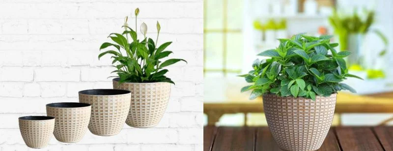Rectangular Geen Plant Pot Decorative Flower Planter for Home Garden