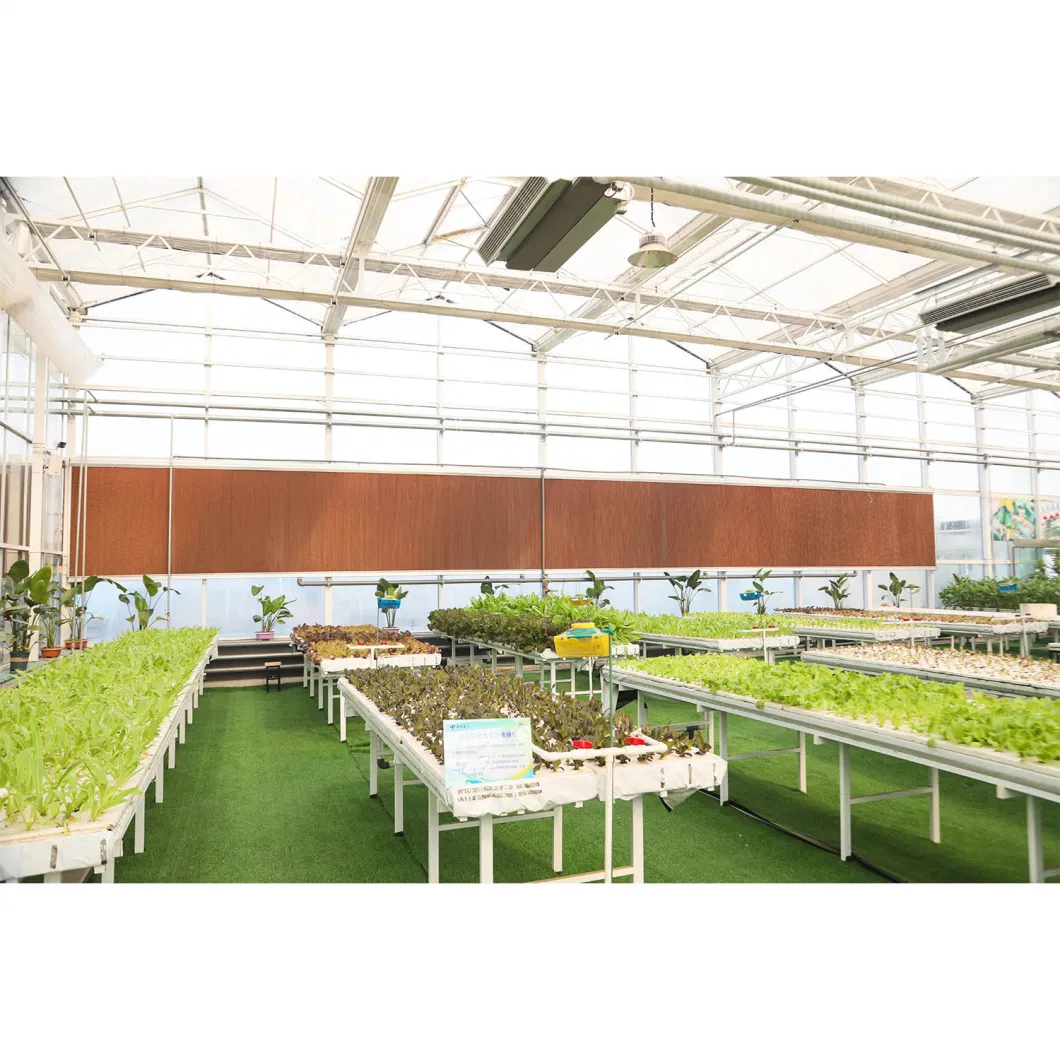 Glass Greenhouse, Intelligent Greenhouse, Flower Shed, Vegetable Galvanized, Sunshine Linkage Greenhouse Manufacturer Supply