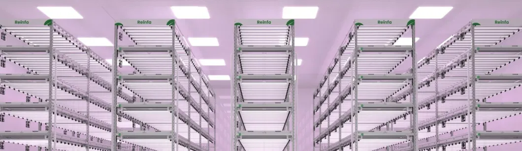 Reinfa&rsquor; S Farmhydro: The Best Vertical Hydroponic System for Commercial Lettuce Growers