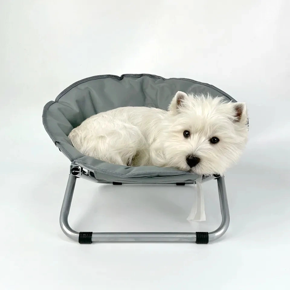 Elevated Folding Dog Bed Indoor Outdoor Pet Camping Raised Cot