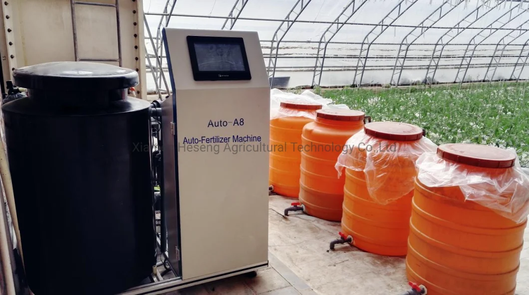 Commercial Hot Sale Hydroponic Channel System in Greenhouse and Farm Nft Hydroponics System with Hydroponics Equipment for Lettuce/Celery/Greens Cultivation