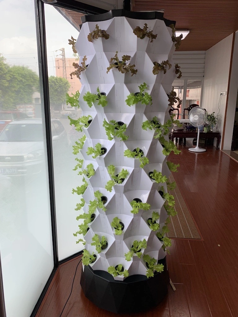 Automated Aeroponics Indoor Tower Garden with LED Grow Lights