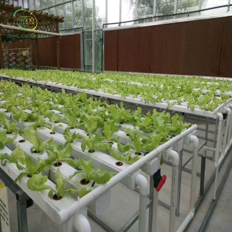 Customized Indoor Hydroponic Growing System for Cultivation with PVC Pipe