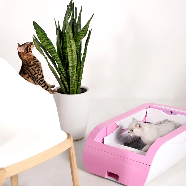 Cat Litter Box Odor Control Multi Cat Self Cleaning Automatic Cat Automatic Box