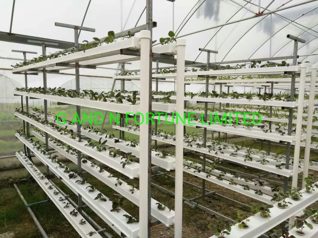 Hot Sale Hydroponic Channel System in Greenhouse and Farm Nft Channels for Hydroponic Growing