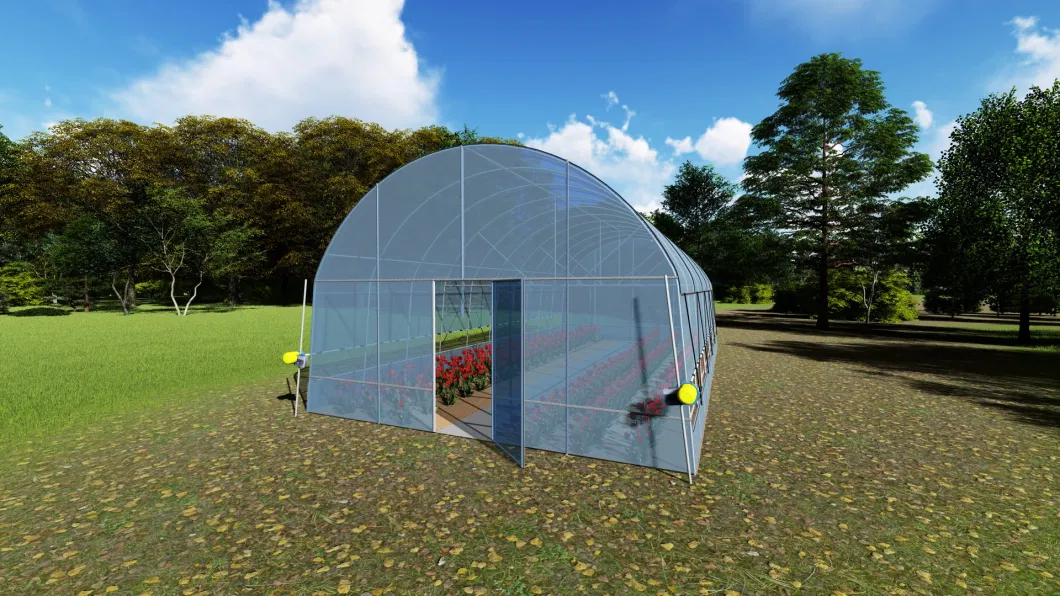 Factory Outlet Single-Span Film Garden Greenhouse in Yard