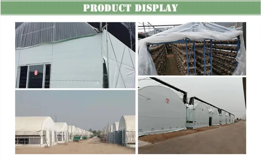 Satrise PVC Climate Controller for Greenhouse Usage in Mushroom Growing