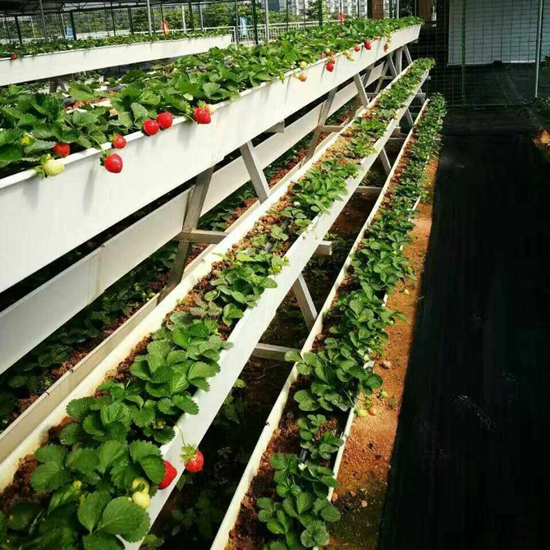 Agriculture Soilless Cultivation Planting Channel PVC Pipe Hydroponic Indoor Grow System Pipeline Nft Hydroponic System