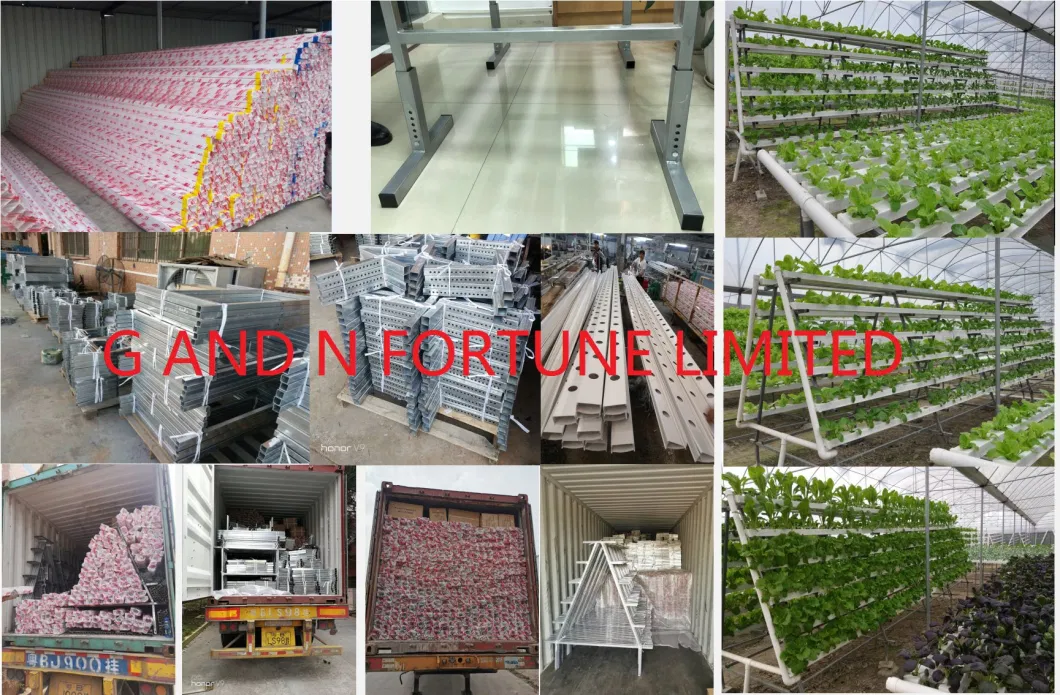 Nft Channels 100X40 Hydroponics Indoor System Soilless Cultivation Solutions