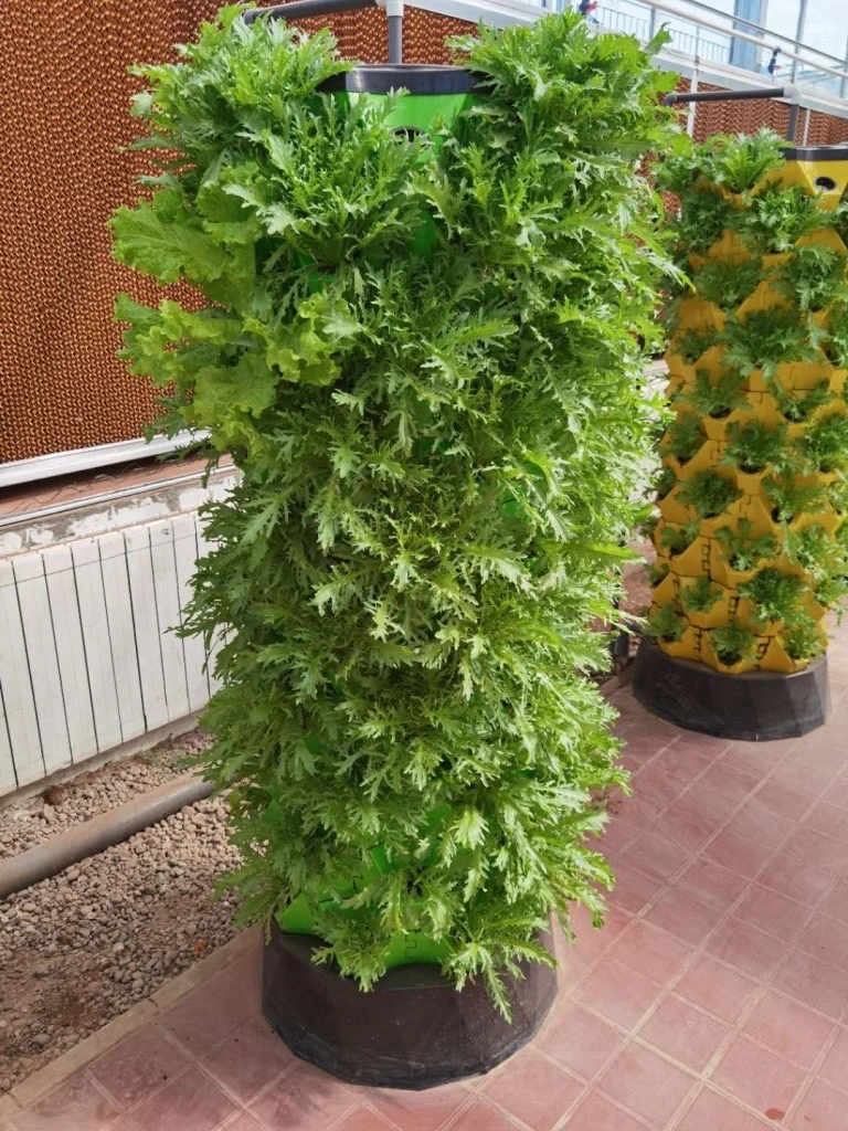 Automated Aeroponics Indoor Tower Garden with LED Grow Lights