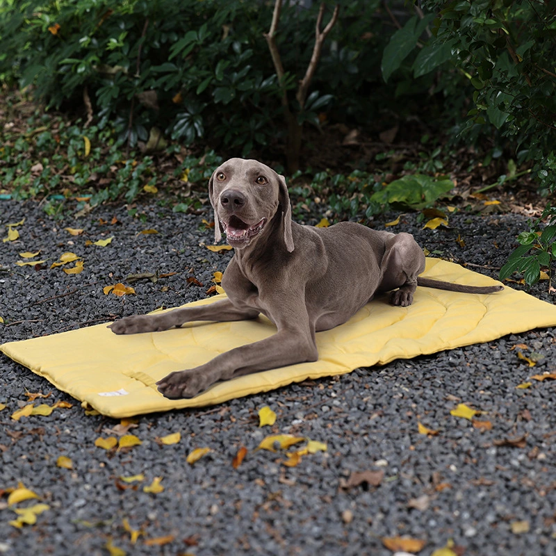 Folding Portable Pet Pad Waterproof, Dirt Resistant and Warm Dog Mat