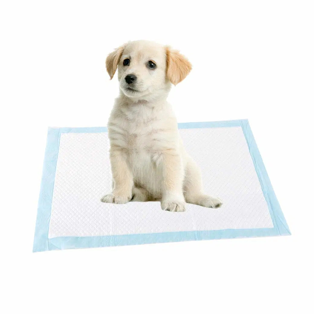 Pet Underpad Waterproof Bottom Non Woven Surface Disposable Pet Underlay PEE Mat