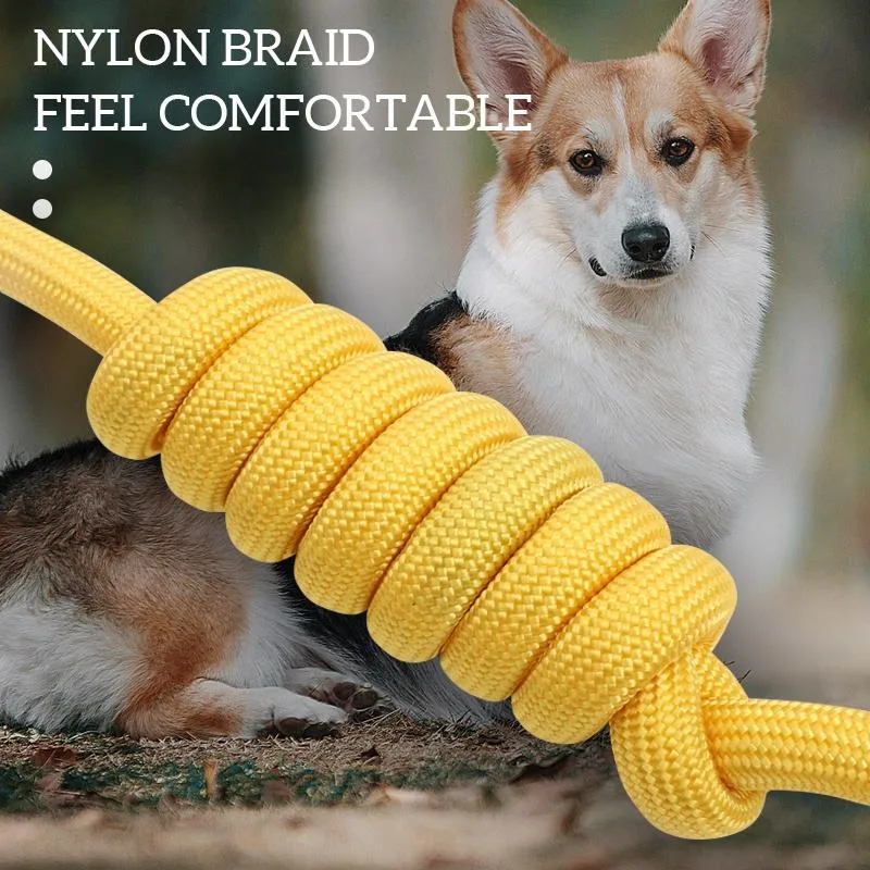 Manufacturer Personalized Pet Dog Harness Neoprene Padded Printed Dog Leash