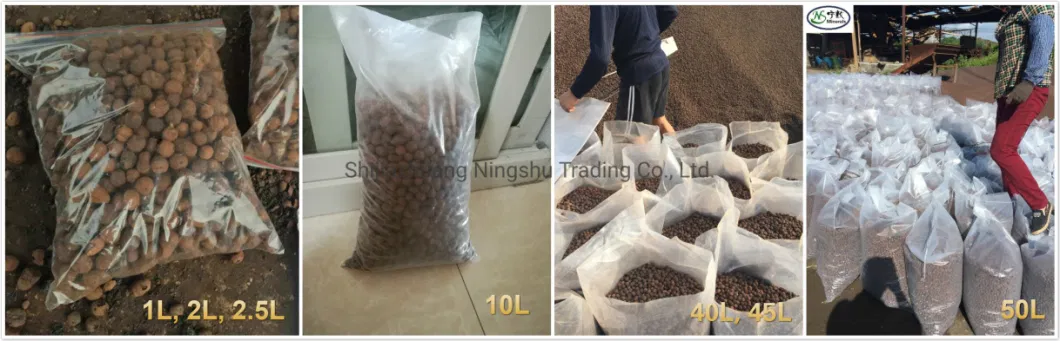 Hydrotonic Expanded Clay Pellets for Malaysia Hydroponic Garden Nursery