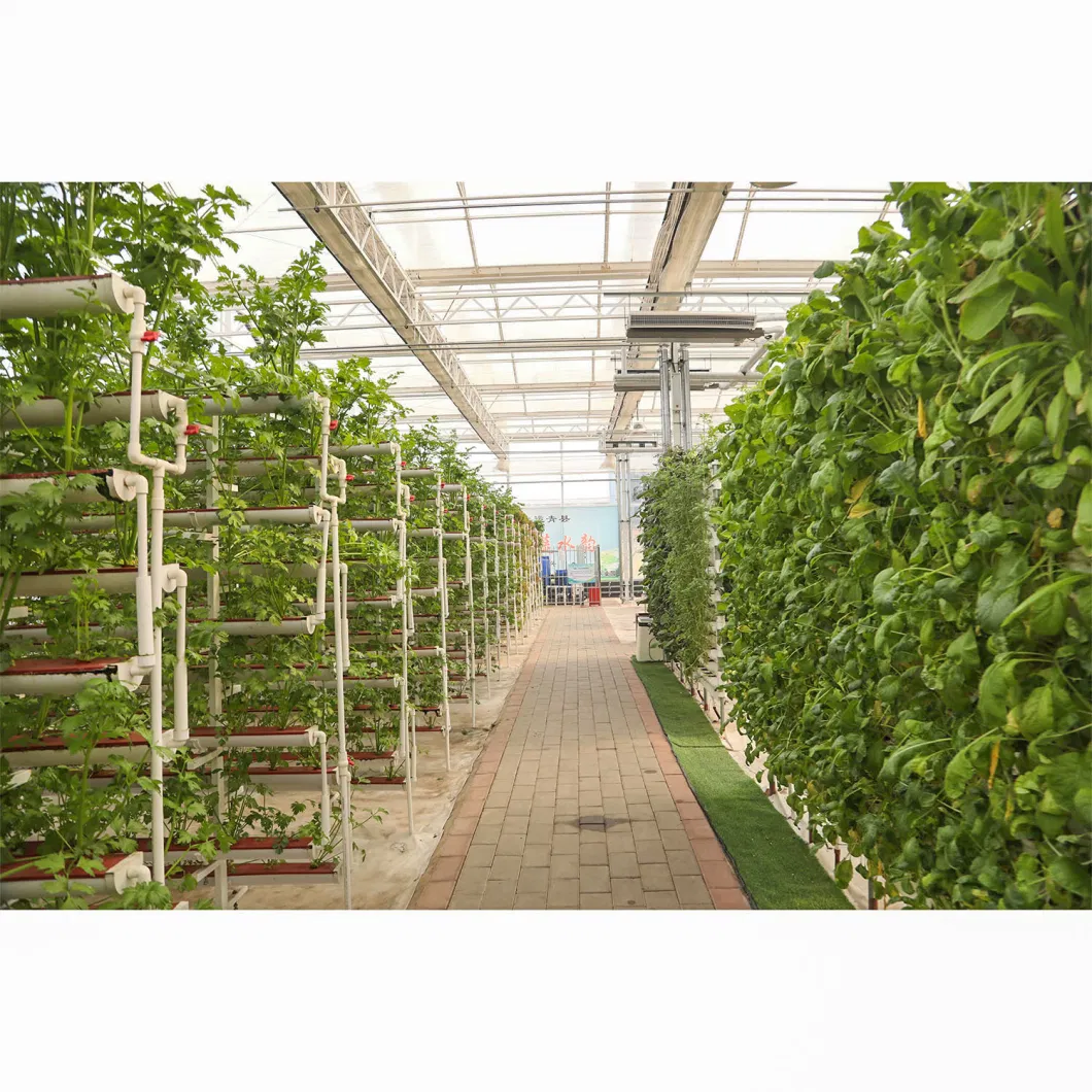 Glass Greenhouse, Intelligent Greenhouse, Flower Shed, Vegetable Galvanized, Sunshine Linkage Greenhouse Manufacturer Supply