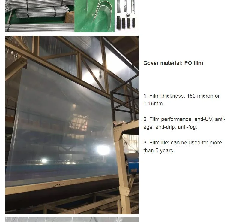 Small Garden Film Greenhouse