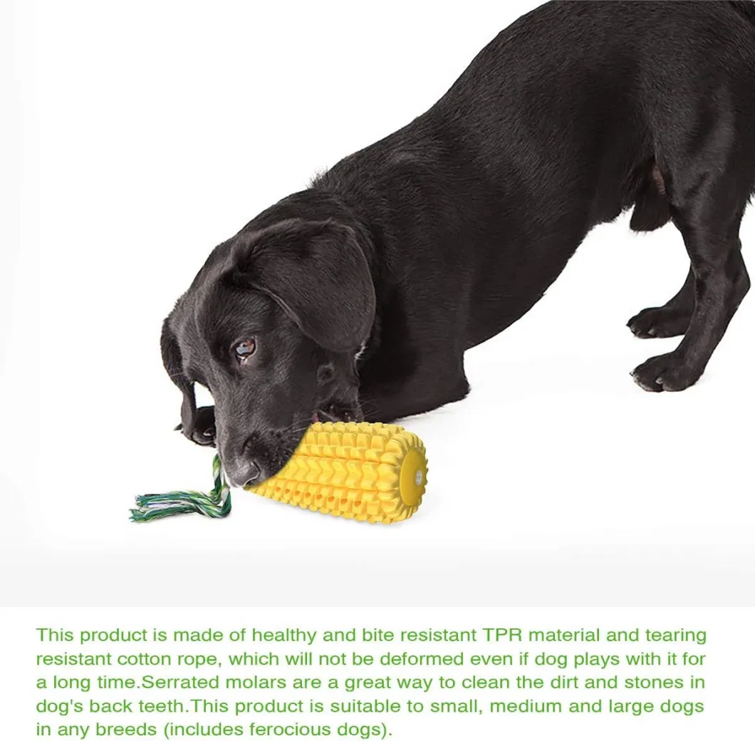 Dog Chew Toys for Overbearing Chew Toys Sturdy Squeaky Corn on The COB Interactive Dog Toys