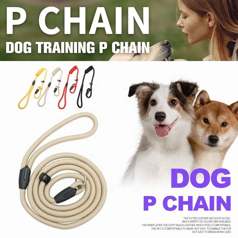Manufacturer Personalized Pet Dog Harness Neoprene Padded Printed Dog Leash